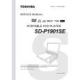 TOSHIBA SD-P1901SE Instrukcja Serwisowa